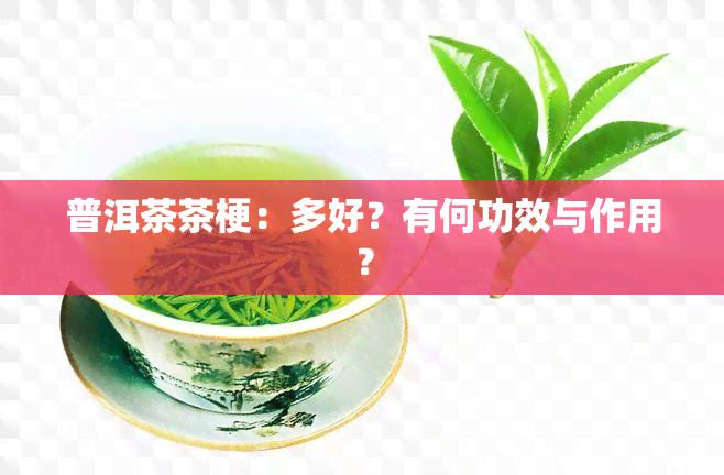 普洱茶茶梗：多好？有何功效与作用？