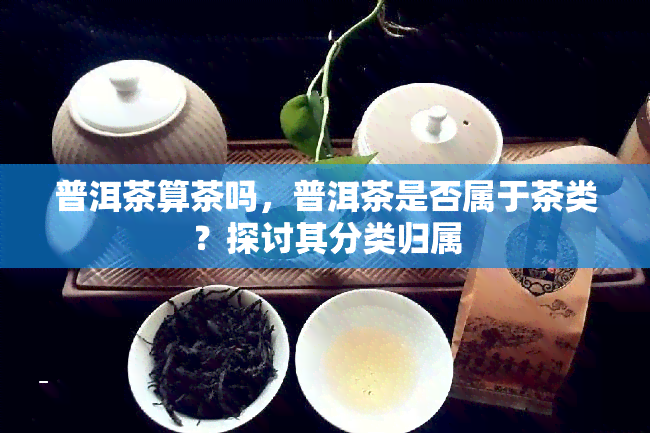 普洱茶算茶吗，普洱茶是否属于茶类？探讨其分类归属