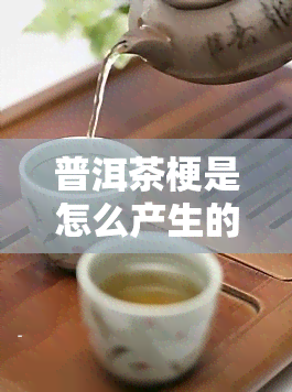 普洱茶梗是怎么产生的吗，探秘普洱茶梗的产生原因与过程