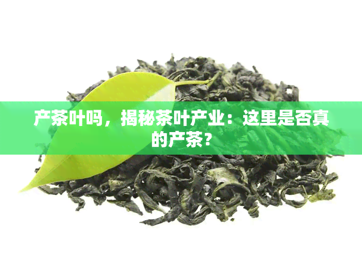 产茶叶吗，揭秘茶叶产业：这里是否真的产茶？