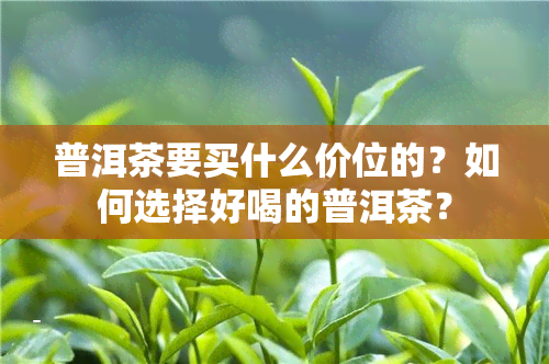 普洱茶要买什么价位的？如何选择好喝的普洱茶？