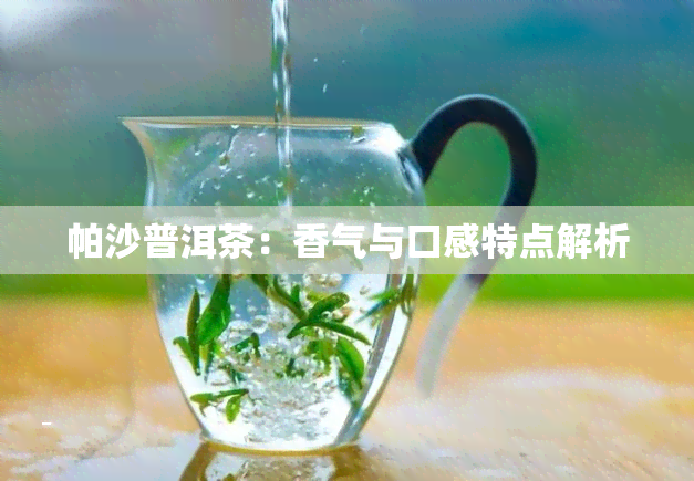 帕沙普洱茶：香气与口感特点解析