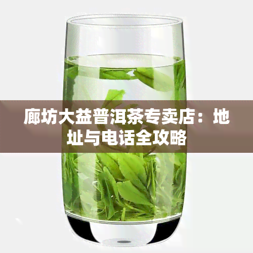 廊坊大益普洱茶专卖店：地址与电话全攻略