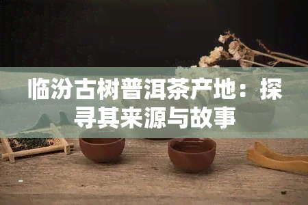 临汾古树普洱茶产地：探寻其来源与故事