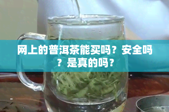 网上的普洱茶能买吗？安全吗？是真的吗？