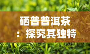 硒普普洱茶：探究其独特的硒含量与功效