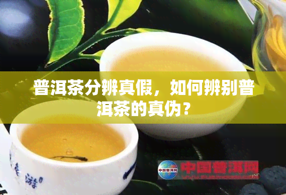 普洱茶分辨真假，如何辨别普洱茶的真伪？