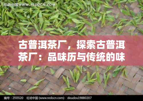 古普洱茶厂，探索古普洱茶厂：品味历与传统的味道