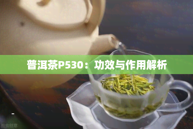 普洱茶P530：功效与作用解析