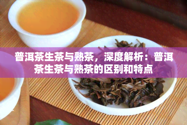 普洱茶生茶与熟茶，深度解析：普洱茶生茶与熟茶的区别和特点