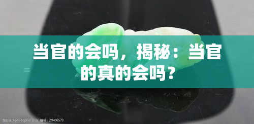 当官的会吗，揭秘：当官的真的会吗？