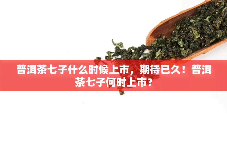 普洱茶七子什么时候上市，期待已久！普洱茶七子何时上市？