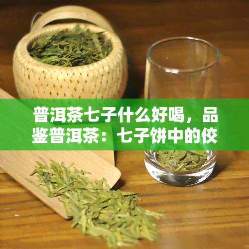 普洱茶七子什么好喝，品鉴普洱茶：七子饼中的佼佼者，哪一款口感更胜一筹？