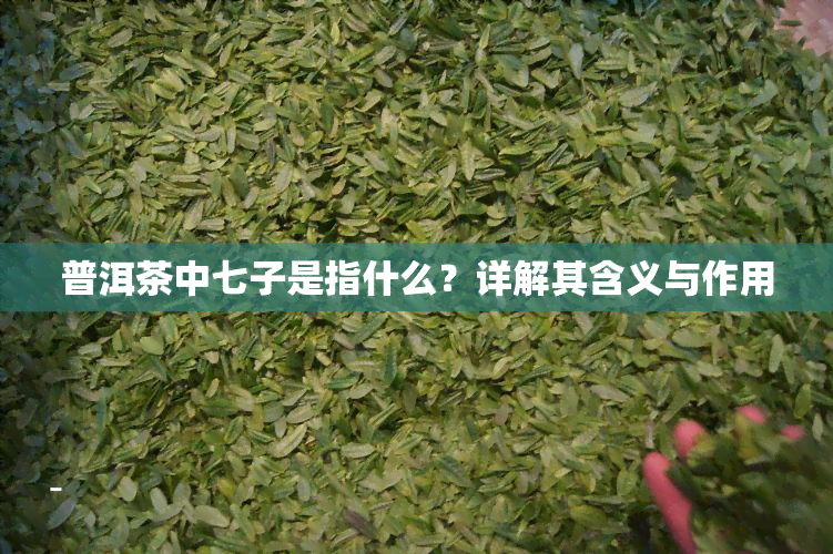 普洱茶中七子是指什么？详解其含义与作用