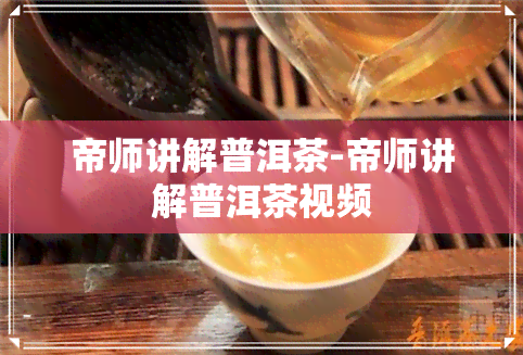 帝师讲解普洱茶-帝师讲解普洱茶视频