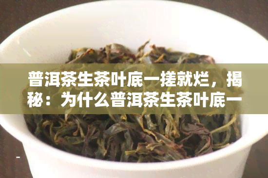 普洱茶生茶叶底一搓就烂，揭秘：为什么普洱茶生茶叶底一搓就烂？