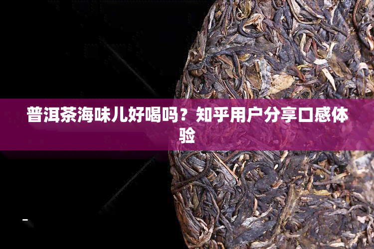 普洱茶海味儿好喝吗？知乎用户分享口感体验