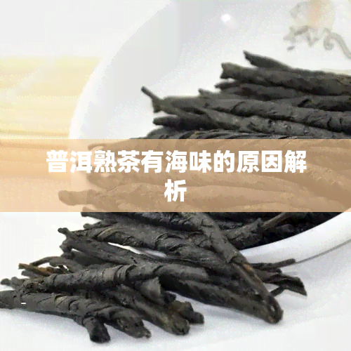 普洱熟茶有海味的原因解析