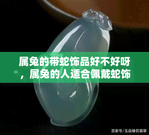 属兔的带蛇饰品好不好呀，属兔的人适合佩戴蛇饰品吗？