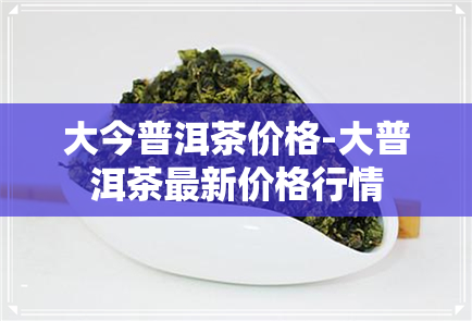 大今普洱茶价格-大普洱茶最新价格行情