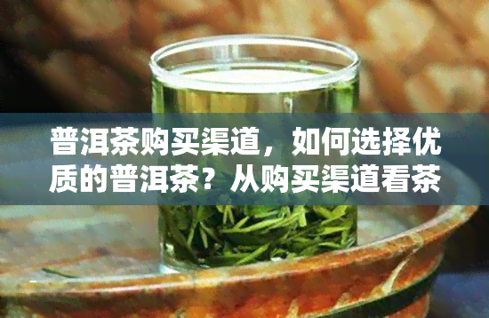 普洱茶购买渠道，如何选择优质的普洱茶？从购买渠道看茶叶品质