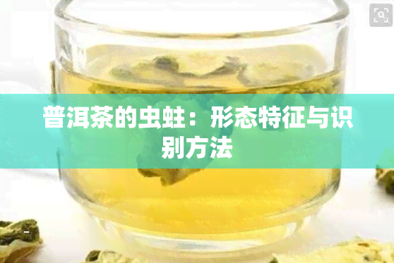 普洱茶的虫蛀：形态特征与识别方法