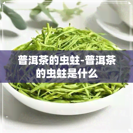 普洱茶的虫蛀-普洱茶的虫蛀是什么