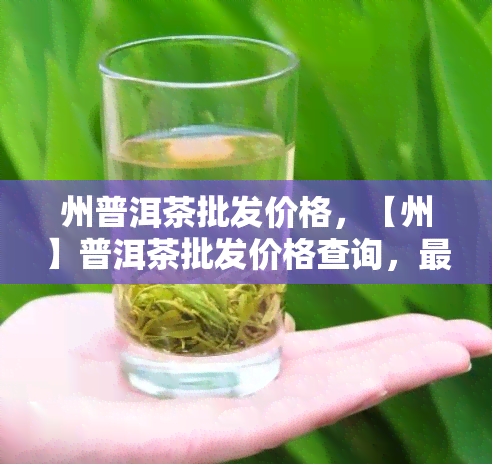 州普洱茶批发价格，【州】普洱茶批发价格查询，最新行情尽在这里！