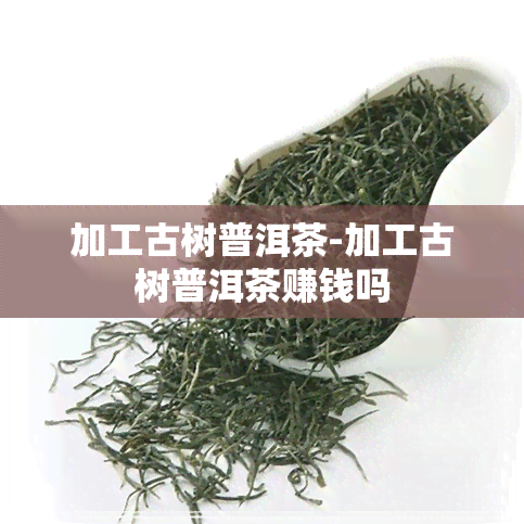 加工古树普洱茶-加工古树普洱茶赚钱吗