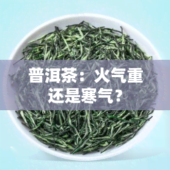 普洱茶：火气重还是寒气？