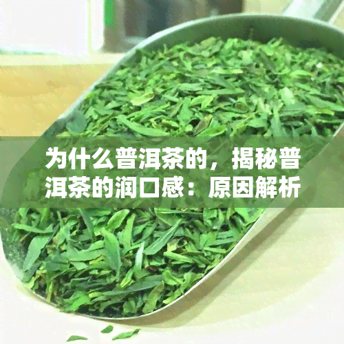 为什么普洱茶的，揭秘普洱茶的润口感：原因解析