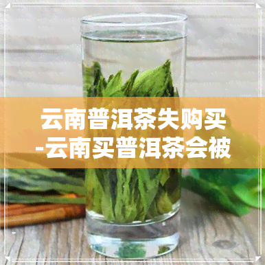 云南普洱茶失购买-云南买普洱茶会被骗吗