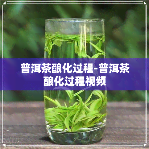 普洱茶酿化过程-普洱茶酿化过程视频