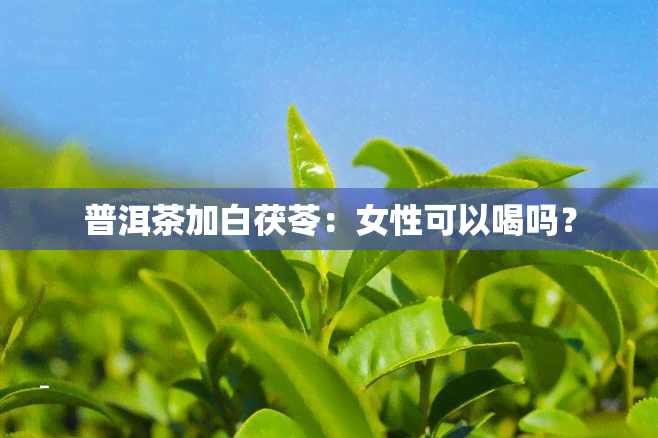 普洱茶加白茯苓：女性可以喝吗？