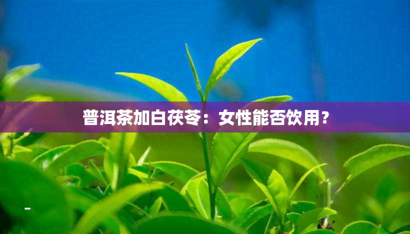 普洱茶加白茯苓：女性能否饮用？