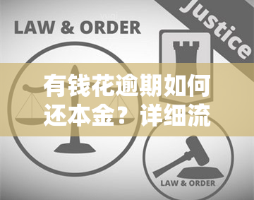 有钱花逾期如何还本金？详细流程在此