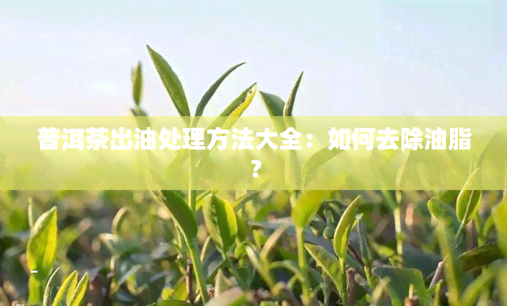 普洱茶出油处理方法大全：如何去除油脂？