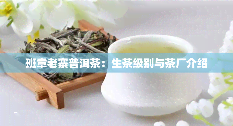 班章老寨普洱茶：生茶级别与茶厂介绍