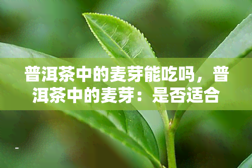 普洱茶中的麦芽能吃吗，普洱茶中的麦芽：是否适合食用？