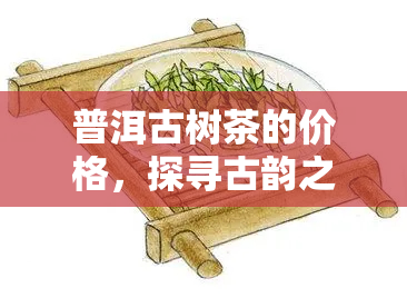 普洱古树茶的价格，探寻古韵之味：普洱古树茶的价格解析