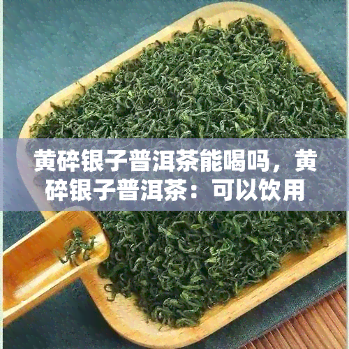 黄碎银子普洱茶能喝吗，黄碎银子普洱茶：可以饮用吗？