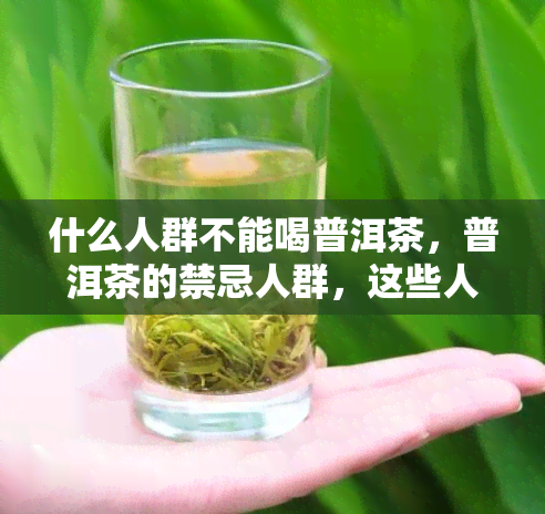 什么人群不能喝普洱茶，普洱茶的禁忌人群，这些人不适合饮用