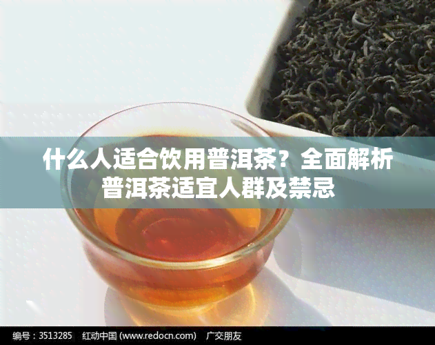 什么人适合饮用普洱茶？全面解析普洱茶适宜人群及禁忌