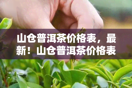 山仓普洱茶价格表，最新！山仓普洱茶价格表全览，让你轻松了解市场价格