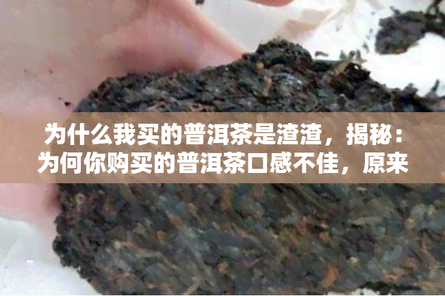 为什么我买的普洱茶是渣渣，揭秘：为何你购买的普洱茶口感不佳，原来是这些原因！