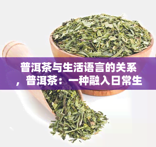 普洱茶与生活语言的关系，普洱茶：一种融入日常生活的语言