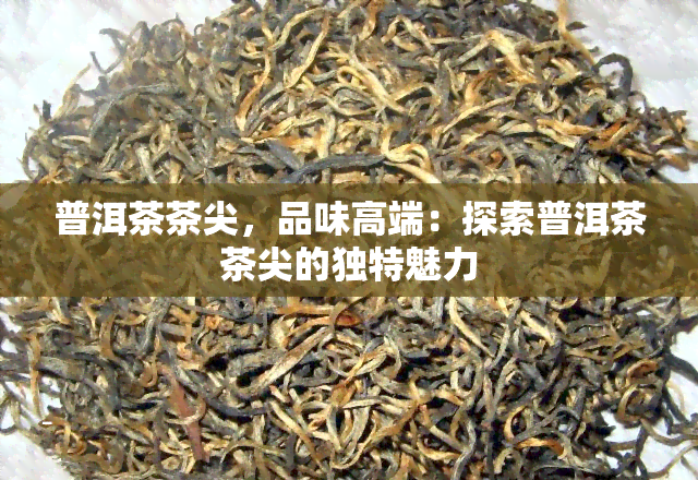 普洱茶茶尖，品味高端：探索普洱茶茶尖的独特魅力