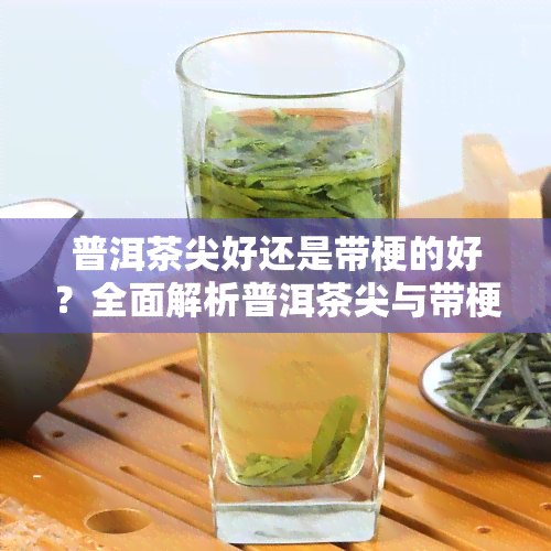 普洱茶尖好还是带梗的好？全面解析普洱茶尖与带梗茶叶的优缺点