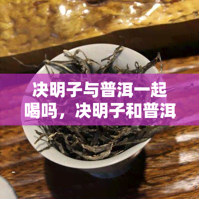 决明子与普洱一起喝吗，决明子和普洱能一起饮用吗？探讨二者的搭配效果