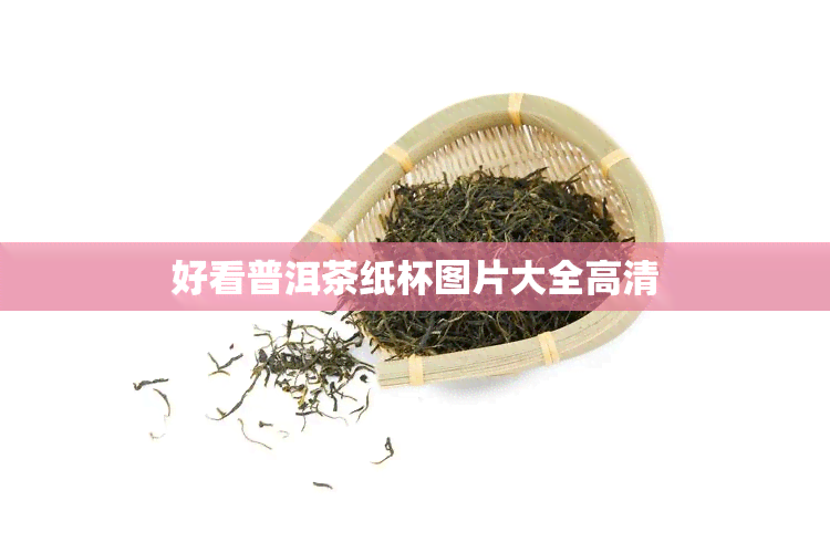 好看普洱茶纸杯图片大全高清